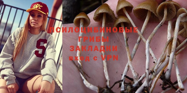 соль курить ск Алексеевка